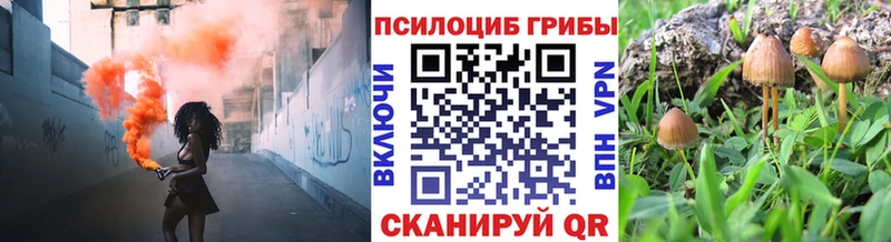 Псилоцибиновые грибы мицелий Олёкминск