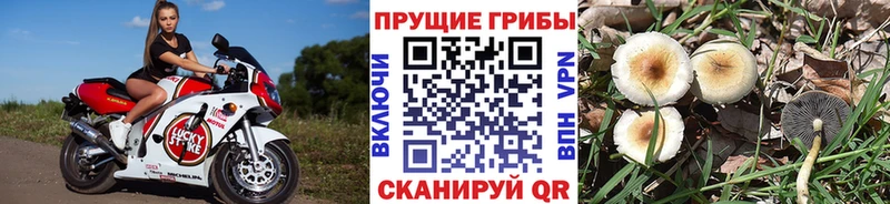 Псилоцибиновые грибы ЛСД  Олёкминск 