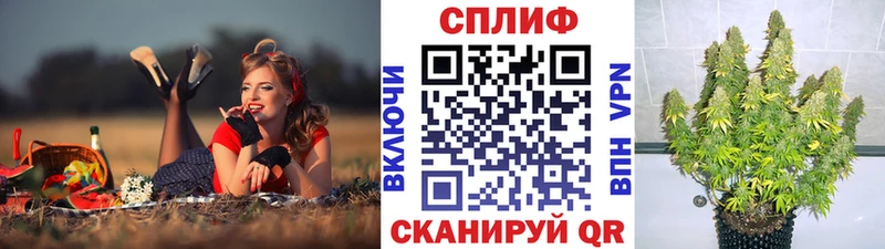 Бошки Шишки план Олёкминск